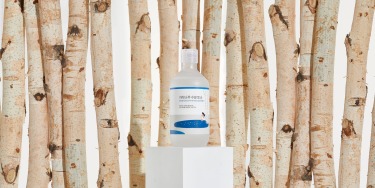 Round Lab Birch Juice Moisturizing Toner 300 мл — Увлажняющий тонер с березовым соком
