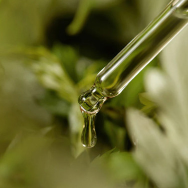 I’m From Mugwort Serum — Заспокійлива сироватка для обличчя з полином