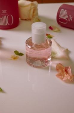 ANILLO Rosy Night Repair Hair Essence 10 мл — Відновлююча есенція для волосся