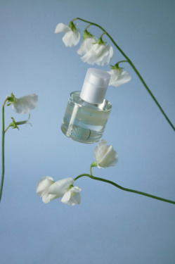 ANILLO Neroli Wood Glow Hair Essence 50 мл — Эссенция для волос